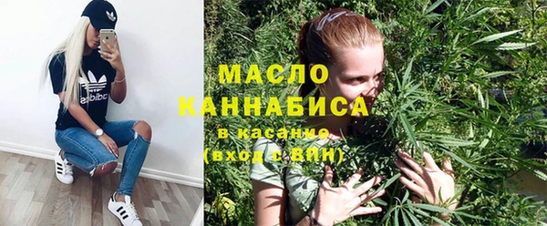 индика Балахна