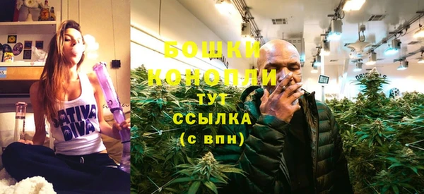 mdpv Белокуриха