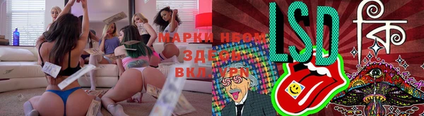 mdpv Белокуриха